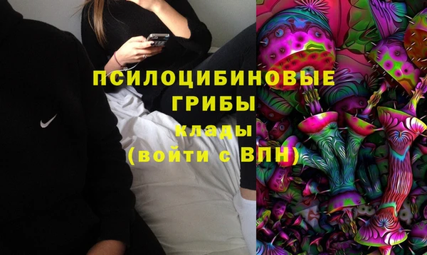 гидропоника Инта