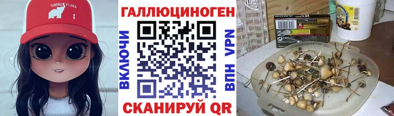 Псилоцибиновые грибы мухоморы  Кадников 